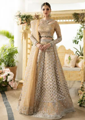 Dilnaaz Wedding Formals 2023 by Qalamkar | DN-01 - IMAAN