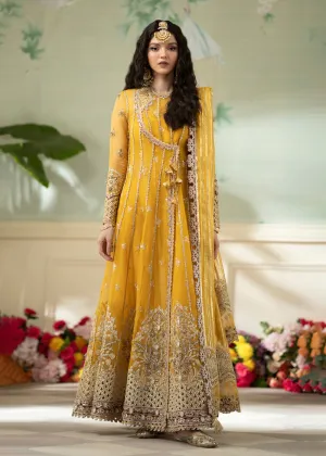 Dilnaaz Wedding Formals 2023 by Qalamkar | DN-04 - KANZA