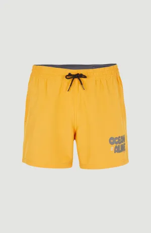 Packable 15'' Hybrid Shorts | Nugget