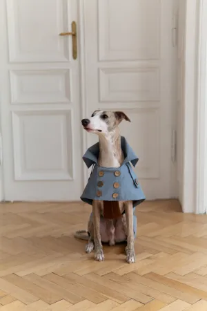 Water-repellent Dog Trench Coat - Light Blue