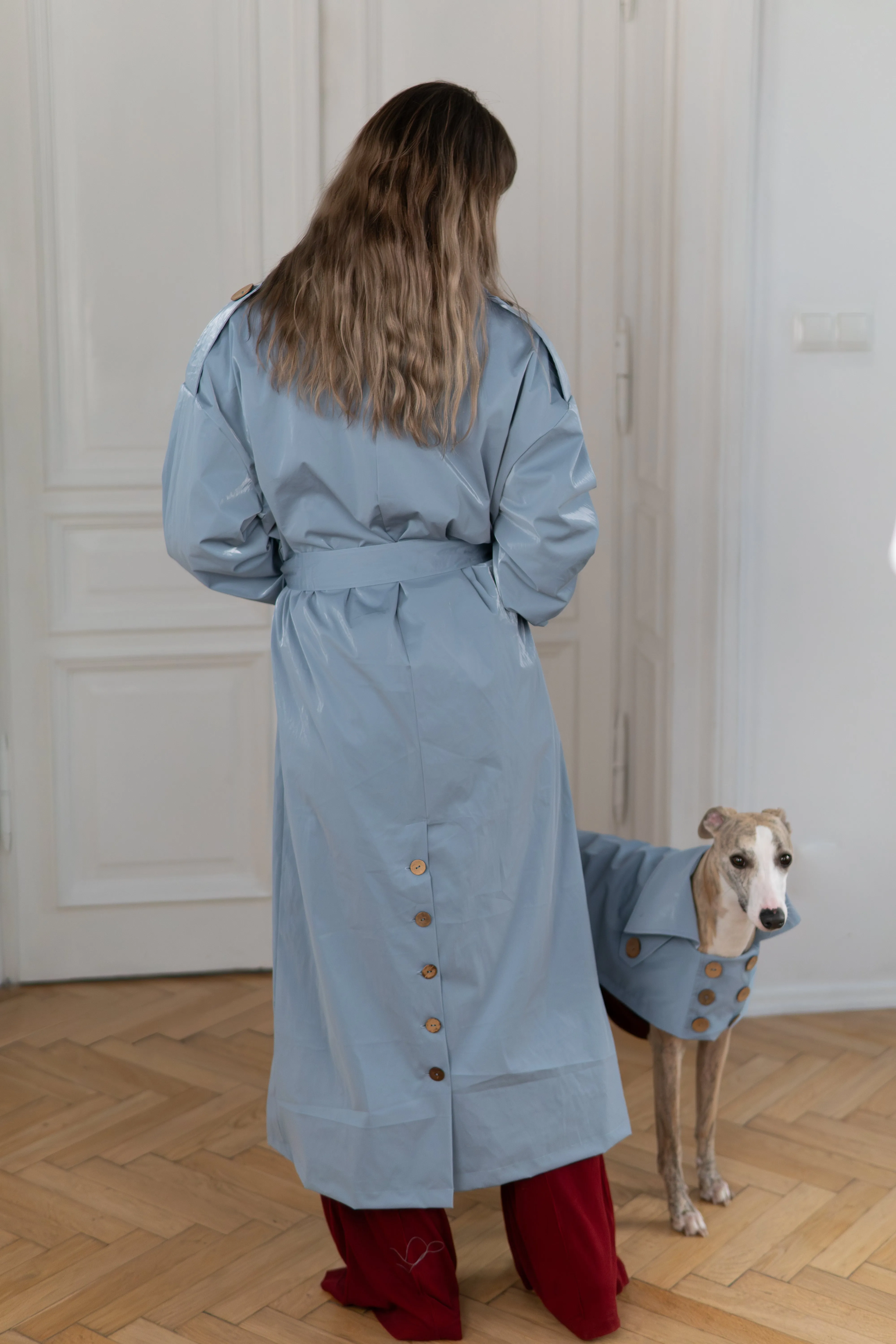 Water-repellent Dog Trench Coat - Light Blue